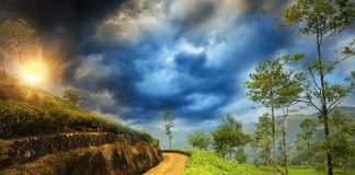 Places Must To Be Visited In India Before You Die Darjeeling India