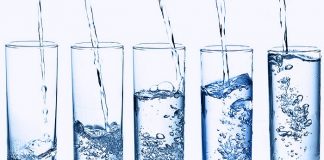 How to Stay Healthy while eating Hearty Meals in the Festive Season Drink lots of Water