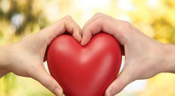 5 Ways to Rekindle the Romance in Your Relationship 5 Ways to Attract Your Partner