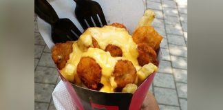 Top 5 Places in Mumbai for a Perfect Poutine Fix The J