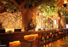 Review: Rainforest Resto-Bar Boasts Perfect Jungle-Themed Ambience In Mumbai Interior
