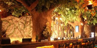 Review: Rainforest Resto-Bar Boasts Perfect Jungle-Themed Ambience In Mumbai Interior