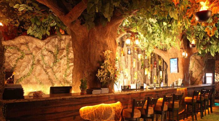 Review: Rainforest Resto-Bar Boasts Perfect Jungle-Themed Ambience In Mumbai Interior
