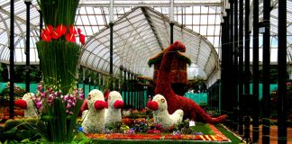 Lal Bagh Botanical Garden: A Paradise For all The Plant Lovers In Bangalore Lalbagh Botanical Garden