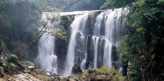 10 Gateways Around Bengaluru Perfect For Week-Long Holiday Wayanad