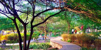 Get A Soulful Glimpse Of Beauty & Scenery At Garden Of Five Senses In Delhi Garden of 5 Sense