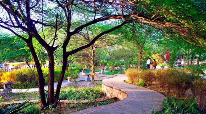 Get A Soulful Glimpse Of Beauty & Scenery At Garden Of Five Senses In Delhi Garden of 5 Sense
