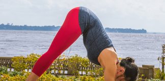 Want Stronger Arms? Try These Easy Yoga Poses Dolphin Pose (Makarasana)