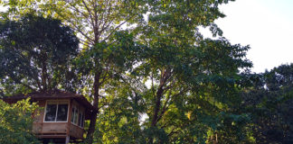 Stay Higher (Literally!) In These Captivating Tree Houses Near Mumbai Atithi Parinay