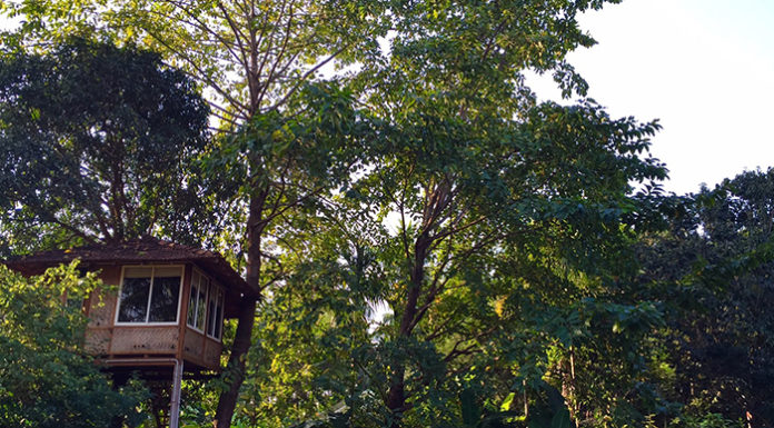 Stay Higher (Literally!) In These Captivating Tree Houses Near Mumbai Atithi Parinay