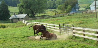 Organize Happening Parties In These Lavish Farm Houses In Noida Cover Image